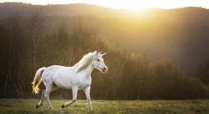 Read more about the article Today’s Real Estate Market: The ‘Unicorns’ Have Galloped Off